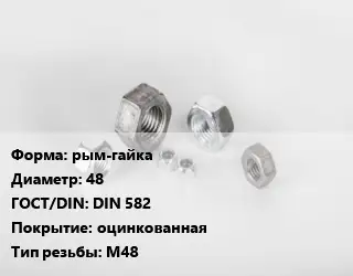 Гайка рым-гайка D=48 DIN 582 оцинкованная М48